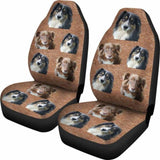 Australian Shepherd Car Seat Covers 091706 - YourCarButBetter