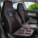 Curly Coat Retriever Car Seat Covers 115106 - YourCarButBetter