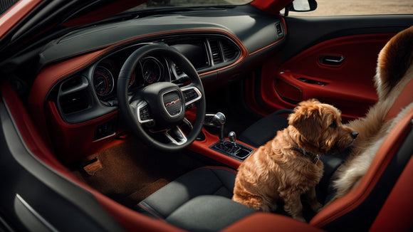 Best Seat Covers for Dodge Challenger Pet Owners: A Guide to Keeping Your Interior Paw-fectly Clean