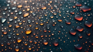 Protect Your Toyota’s Interior: Waterproof Car Seat Covers Reviewed