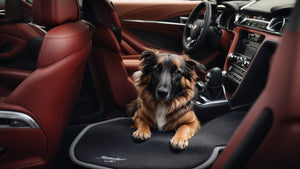 Mustang Car Mats for Pet Owners: Keep Your Car Clean and Stylish
