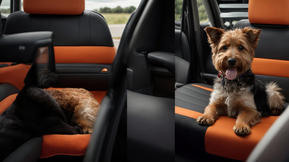 Custom Toyota Seat Covers for Pet Owners: Keep Your Car Clean and Comfortable