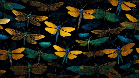 Protect Your Seats in Style: Dragonfly Car Seat Covers for Nature Lovers