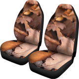 Autumn Oak leaf Print Universal Fit Car Seat Covers 102422