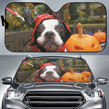 Adorable Boston Terrier Dressed for Halloween Night Car Auto Sun Shades 211502