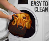 Dachshund Portrait Highlighted by Warm Baroque Textures Car Seat Covers 211402
