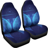 Pisces Horoscope Sign Print Universal Fit Car Seat Covers 102422
