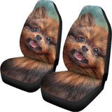 Vintage Pomeranian Portrait Universal Fit Car Seat Covers 102422