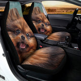 Vintage Pomeranian Portrait Universal Fit Car Seat Covers 102422