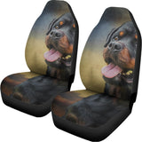 Vintage Rottweiler Portrait Print Universal Fit Car Seat Covers 102422