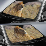 African Lion Hd 5K Car Sun Shade 172609 - YourCarButBetter