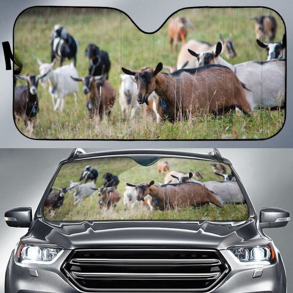 Auto Sun Shades - Goat 04 182102 - YourCarButBetter