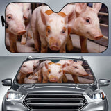 Auto Sun Shades - Pig 04 102507 - YourCarButBetter