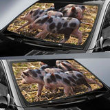 Auto Sun Shades - Pig 08 102507 - YourCarButBetter