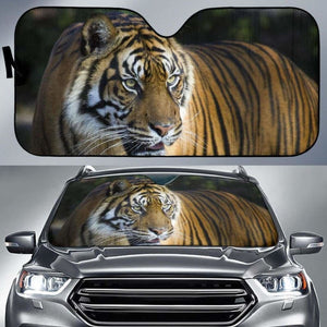 Bengal Tiger Big Tiger 4K 8K Car Sun Shade 172609 - YourCarButBetter