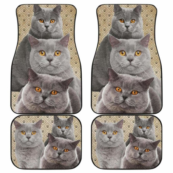 British Shorthair Cat Car Floor Mats Funny For Cat Lover 112428 - YourCarButBetter