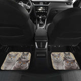 British Shorthair Cat Car Floor Mats Funny For Cat Lover 112428 - YourCarButBetter