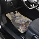 British Shorthair Cat Car Floor Mats Funny For Cat Lover 112428 - YourCarButBetter