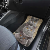 British Shorthair Cat Car Floor Mats Funny For Cat Lover 112428 - YourCarButBetter