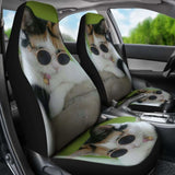 Car Seat Covers - Cat Lovers 25 112428 - YourCarButBetter