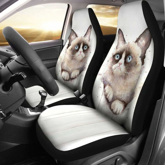 Cat 2 _ Car Seat Covers 112428 - YourCarButBetter