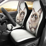 Cat 2 _ Car Seat Covers 112428 - YourCarButBetter