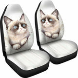 Cat 2 _ Car Seat Covers 112428 - YourCarButBetter