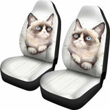 Cat 2 _ Car Seat Covers 112428 - YourCarButBetter