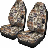 Cat Full Face Car Seat Covers 112428 - YourCarButBetter