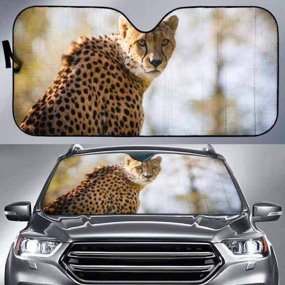 Cheetah Big Cat Hd 4K Car Sun Shade 172609 - YourCarButBetter