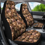 Chesapeake Bay Retriever Full Face Car Seat Covers 115106 - YourCarButBetter