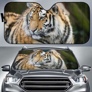 Cool Tiger Zoo Hd 4K Car Sun Shade 172609 - YourCarButBetter