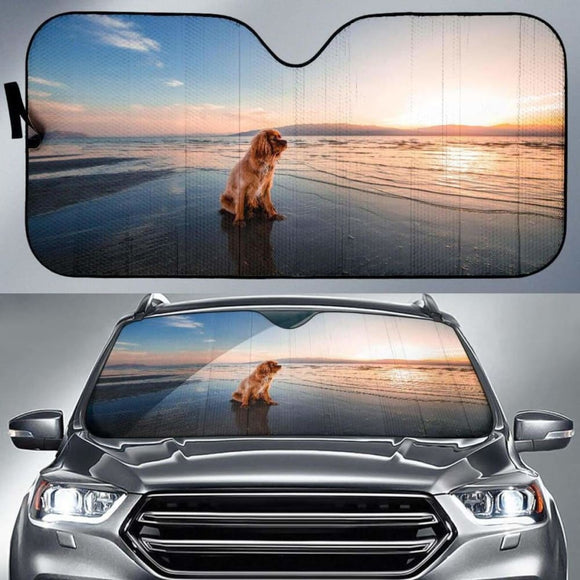 Dog Dusk Beach Seashore Hd 5K Car Sun Shade 102507 - YourCarButBetter