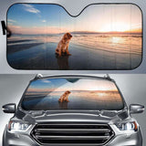 Dog Dusk Beach Seashore Hd 5K Car Sun Shade 102507 - YourCarButBetter