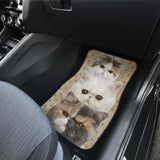 Exotic Cat Car Floor Mats Funny For Exotic Cat Lovers 112428 - YourCarButBetter