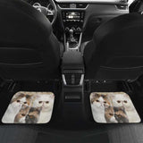 Exotic Cat Car Floor Mats Funny For Exotic Cat Lovers 112428 - YourCarButBetter