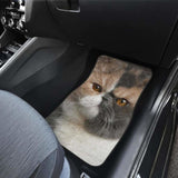 Exotic Cat Car Floor Mats Funny Cat Lover 112428 - YourCarButBetter