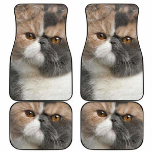 Exotic Cat Car Floor Mats Funny Cat Lover 112428 - YourCarButBetter