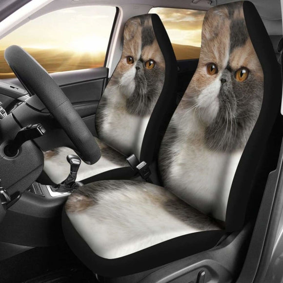 Exotic Cat Car Seat Covers Funny Cat Face 112428 - YourCarButBetter