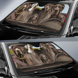 Great Dane Dogs 3 - Auto Sun Shade 172609 - YourCarButBetter