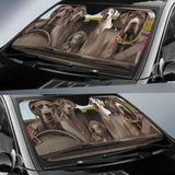 Great Dane Dogs 3 RHD - Auto Sun Shade 172609 - YourCarButBetter