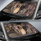 Great Dane Dogs 5 RHD - Auto Sun Shade 172609 - YourCarButBetter