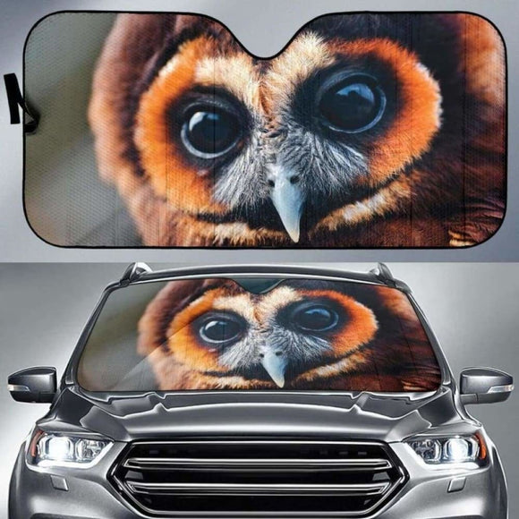 Great Owl Eyes Car Sun Shades 172609 - YourCarButBetter