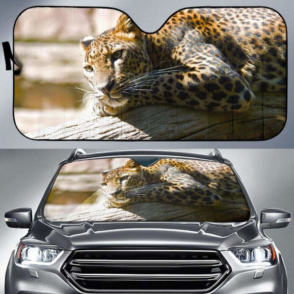 Leopard Fuengirola Zoo Spain Hd Car Sun Shade 172609 - YourCarButBetter