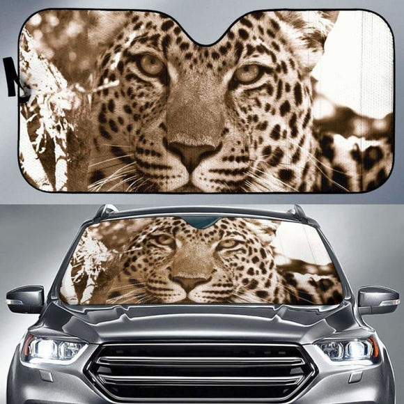 Leopard Wildlife South Africa Close Up Hd Car Sun Shade 172609 - YourCarButBetter