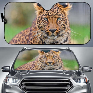 Leopard Young Hd 4K Car Sun Shade 172609 - YourCarButBetter