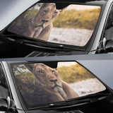 Lioness Chobe National Park Botswana 4K Car Sun Shade 172609 - YourCarButBetter