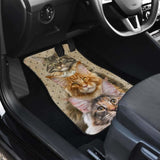 Maine Coon Cat Car Floor Mats For Main Coon Cat Lover 112428 - YourCarButBetter