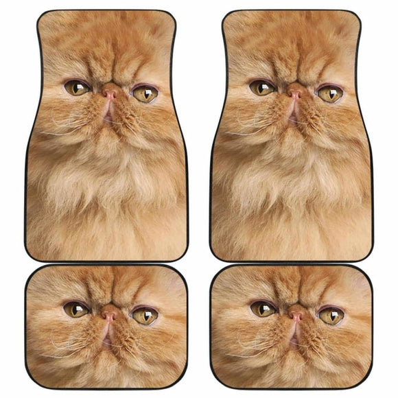 Persian Cat Car Floor Mats Funny Cat Face 112428 - YourCarButBetter