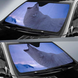 Polar Bear Roaring 4K Car Sun Shade 102507 - YourCarButBetter
